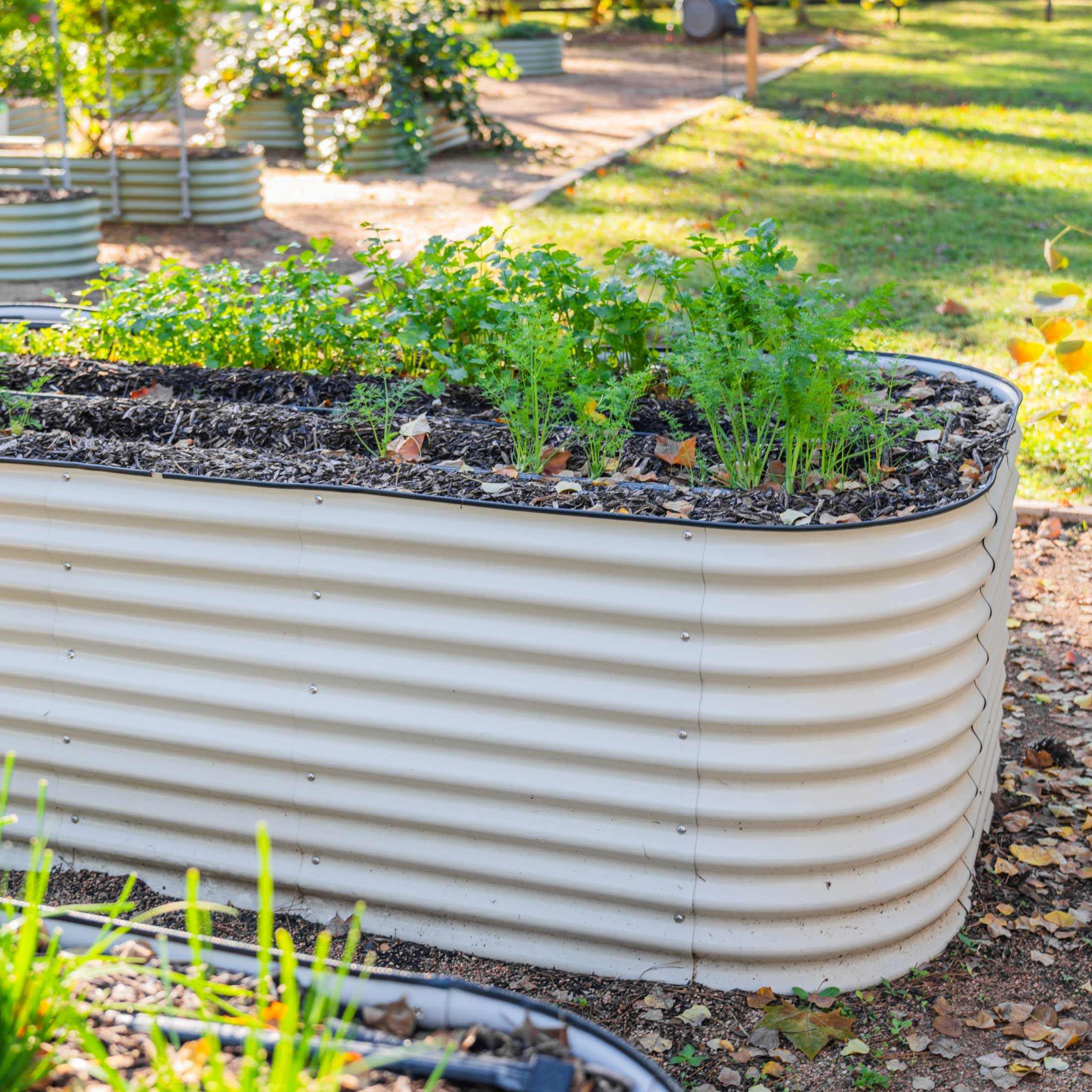 Thumbnail 18