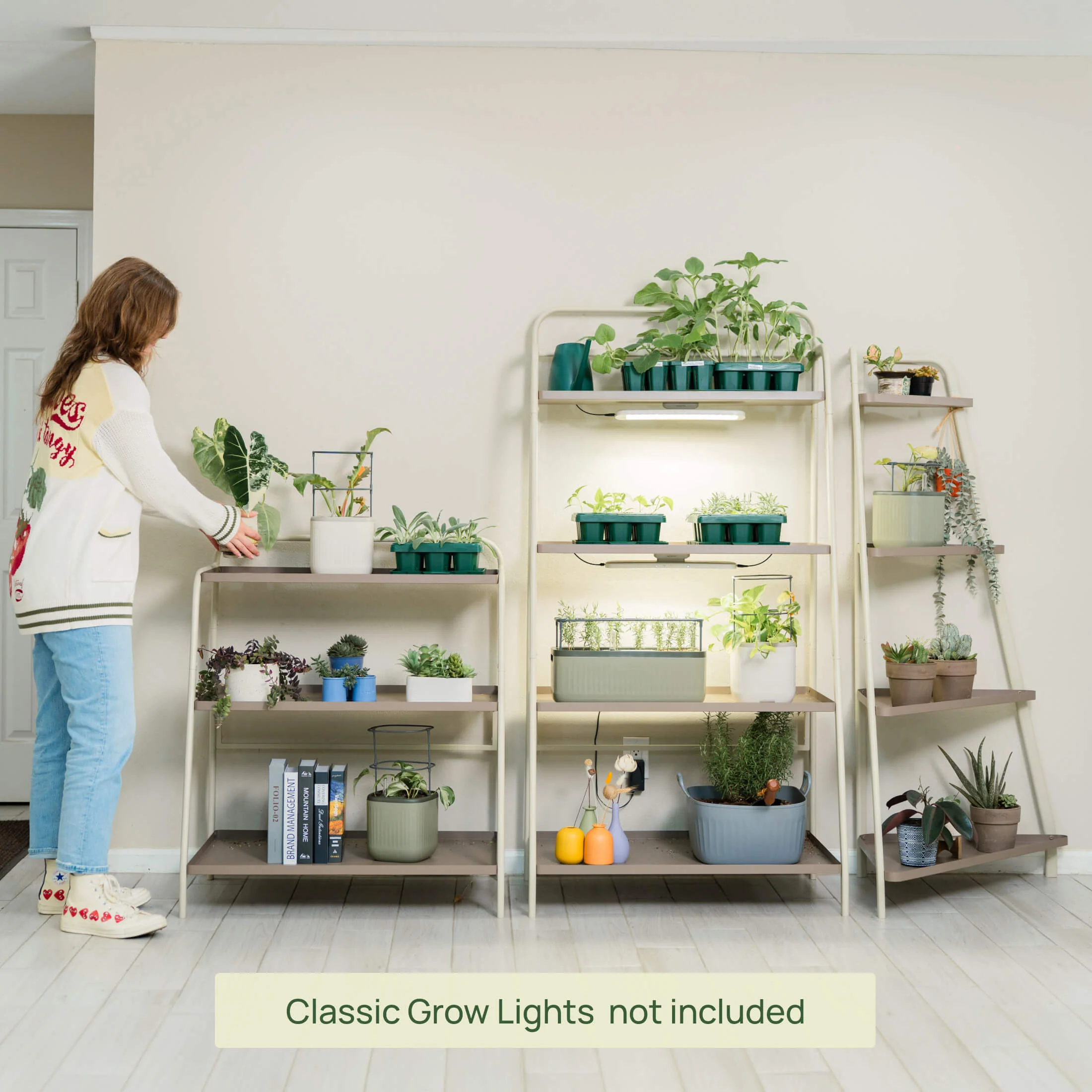 Thumbnail 10