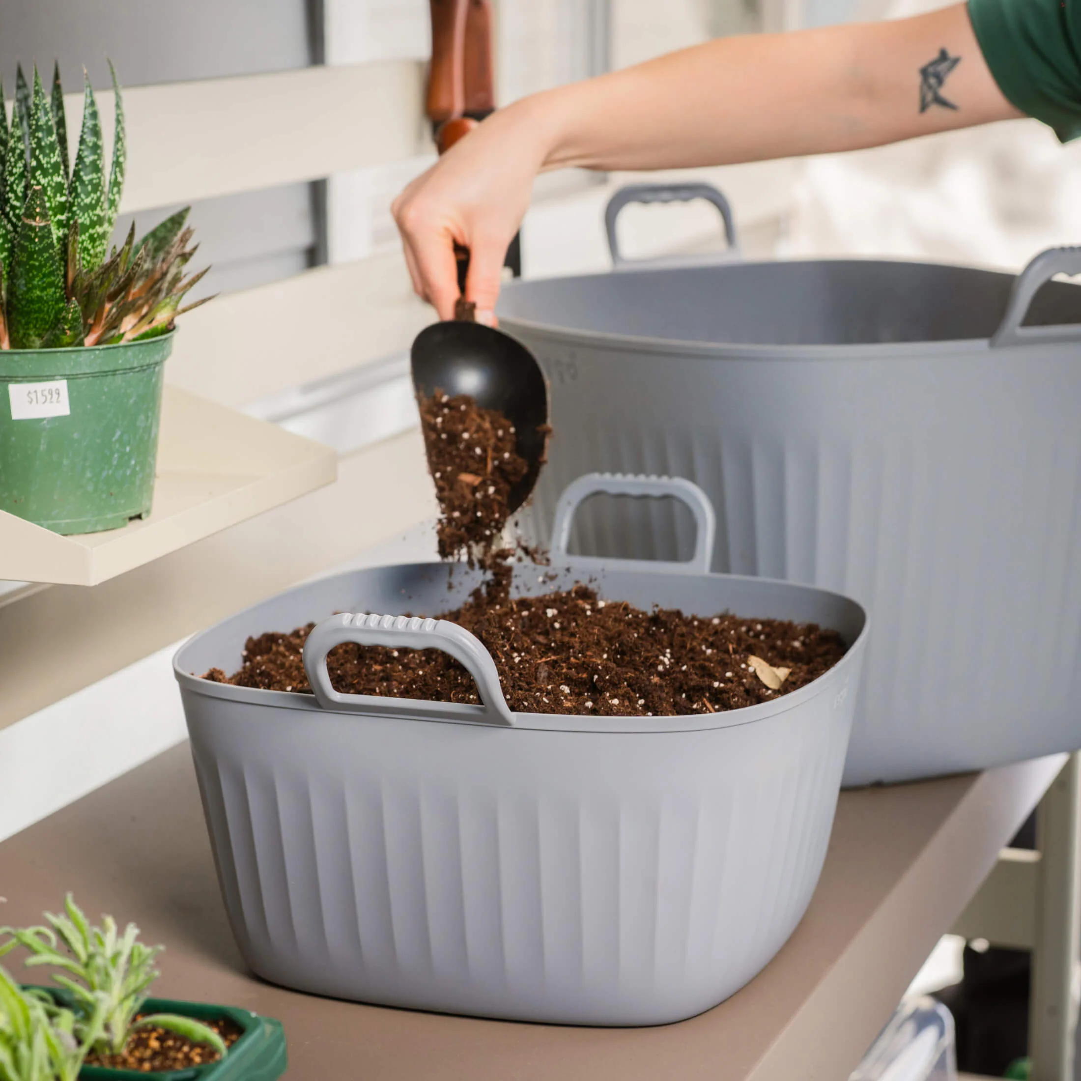 Thumbnail 14